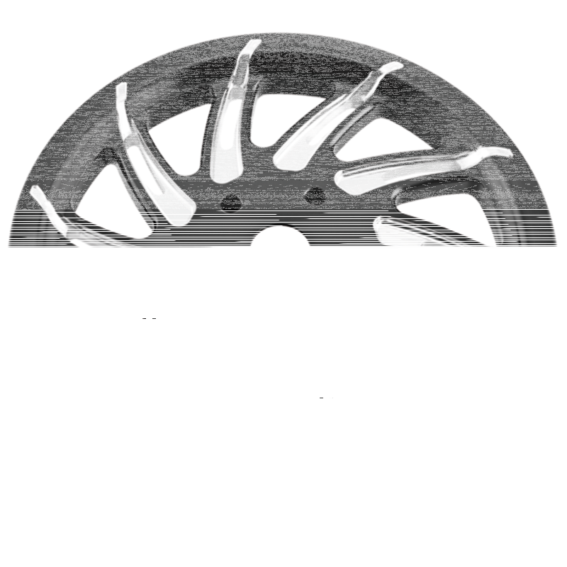 PM Pulley 70Tx1-1/8" Supra Platinum (FR)