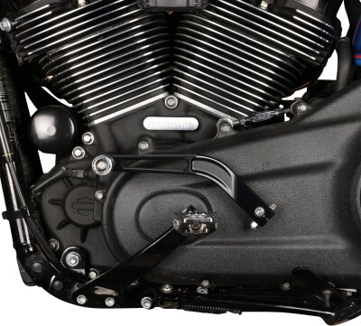 Lever Shift 1 Shorter M8 Softa