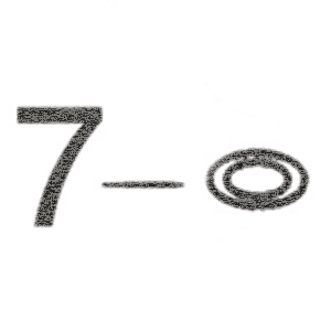 GZP 10pck O-ring drain plug engine (ES)