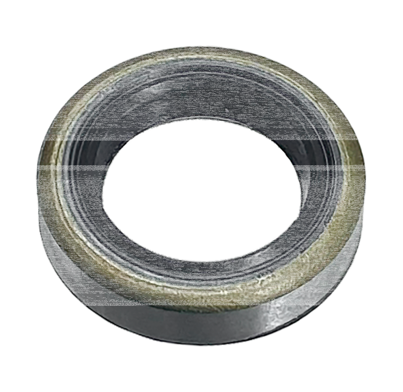 GZP Oil seal shift lever BT86-up XL86-05 (ES)