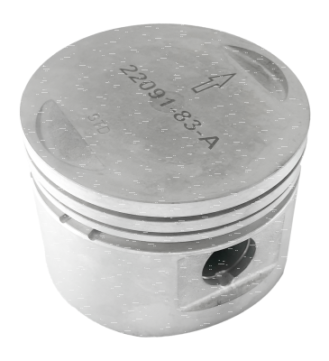 GZP Piston w/o rings BT84-99 +.005" (ES)