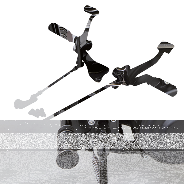 GZP Black FWD controls BT58-86 F*ST86 (ES)