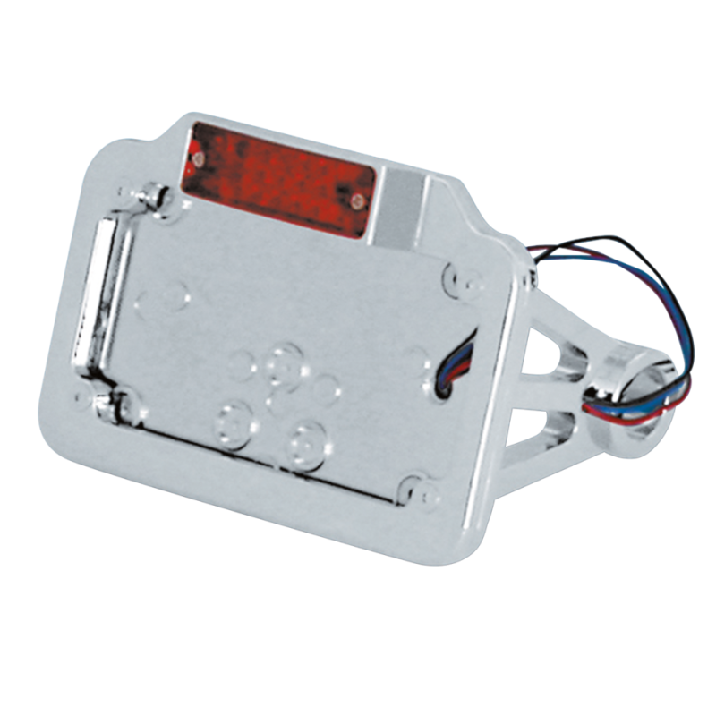 GZP Licenceplate LED chr/w side mount sm (ES)