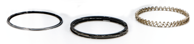 Pistonrings 1200 STD Chr.Moly Hastings (ES)
