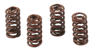 Andrews hi-lift valve springs BT84-04 XL