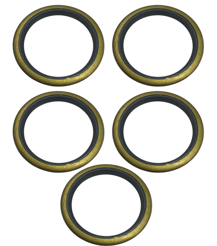 5Pck seal, sprocket shaft brng BT55-68 (ES)