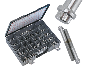 Assortm. tray of 12 point bolts,24 sizes (ES)