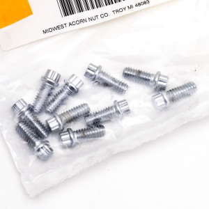 10pck 12-point bolts 1/4-20 x 5/8", UNC (ES)