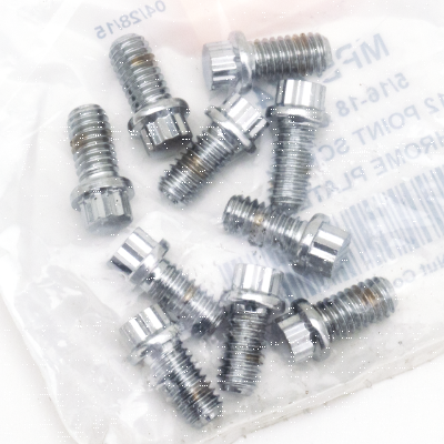 10pck 12-point bolts,5/16-18 x 5/8", (ES)