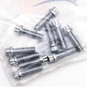 10pck 12-point bolts,5/16-18 x 1", (ES)