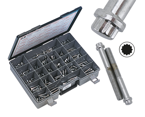 10pck 12-point bolts,3/8-16 x 3/4", (ES)