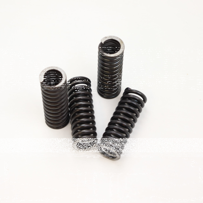 Valve spring kit WL Set of 4 (ES)