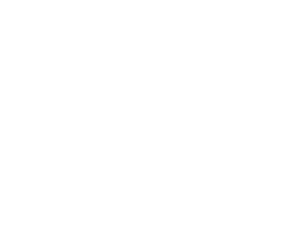 Friction disc (ES)
