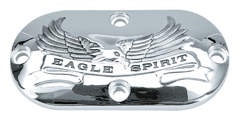 GZP Eagle Spirit primary inspection cove (ES)
