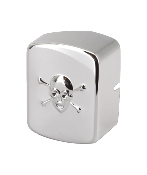 GZP Skulled Coil Cover BT65-84 F*ST84 (ES)