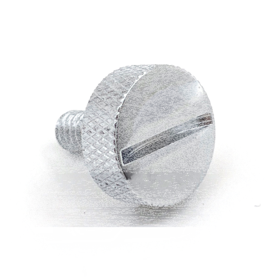 GZP Chr slotted Ezy seat screw 1-4-20 (ES)