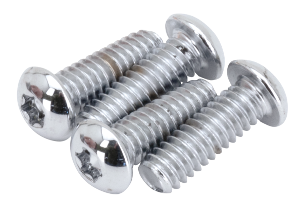 Button Torx Insp. cvr screw kit FLT99-06 (ES)