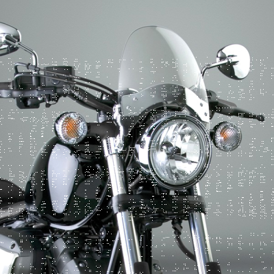 Flyscreen LS Light tint w/chrome hardwre (ES)