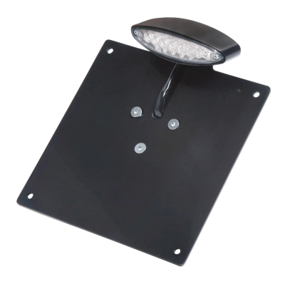 RBS LED taillight/licensebrckt black (ES)