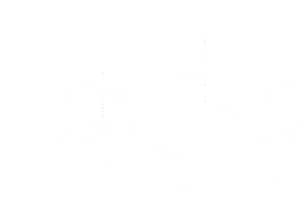 5pck GHDP TOLERANCE RING (ES)