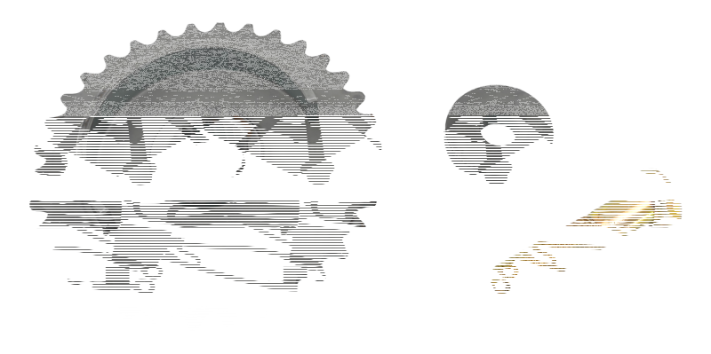 Rear cam sprocket w/ ign. trigger ring (ES)