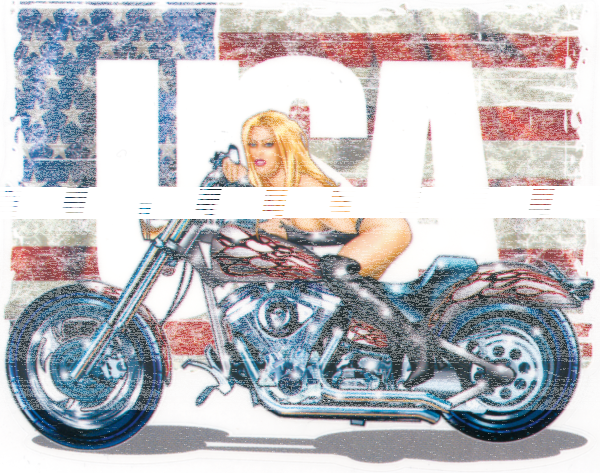 Miss Ride USA  5.46X4.23 decal (ES)
