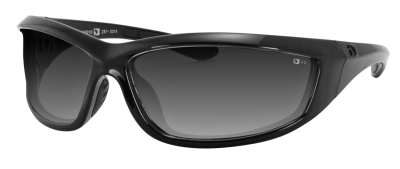 Charger Gloss Black Frame Smoked Lens (ES)