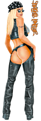 HARLEY HOTTIE DECAL 3"X10" (ES)