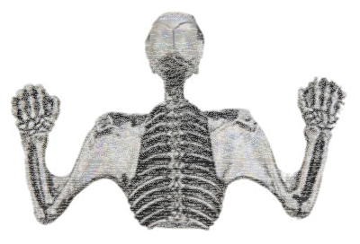 7" Headlamp Visor Ornament Skull Chrome (ES)