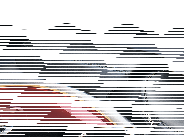 Silhouette Pillion FXDWG96-03 (ES)