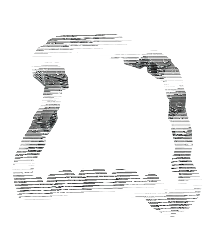Cam chain, primary TC99-06 (ES)