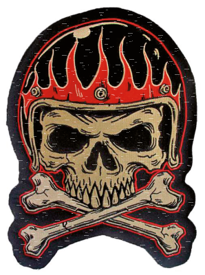 VINTAGE HELMET SKULL PATCH (ES)