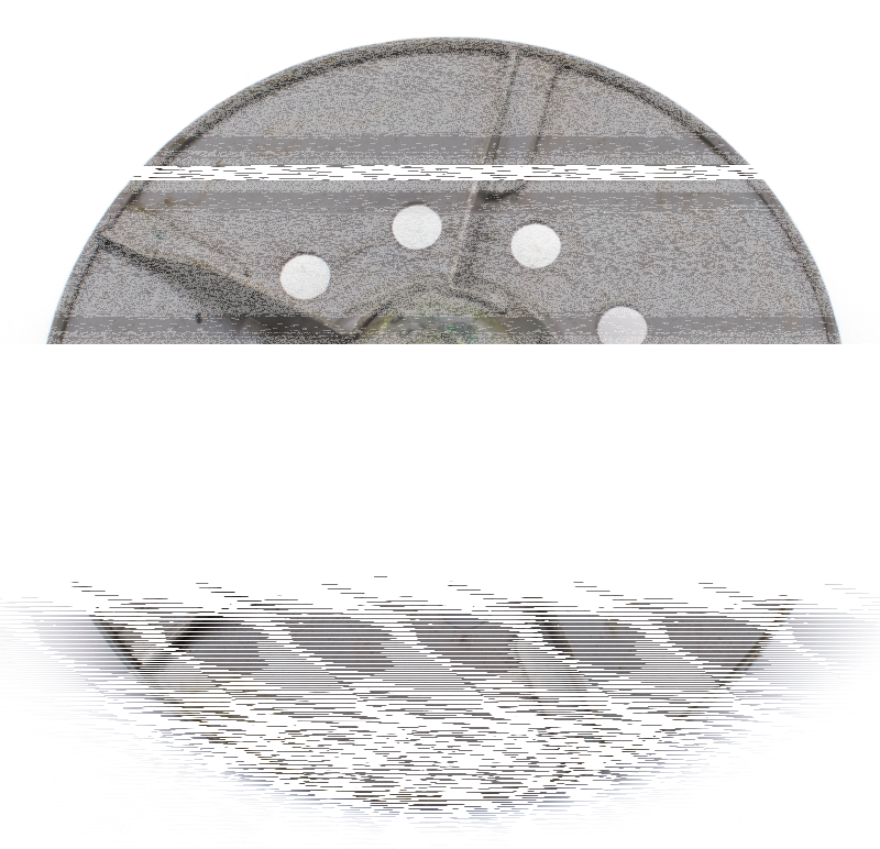Clutch release disc, 41-up (ES)