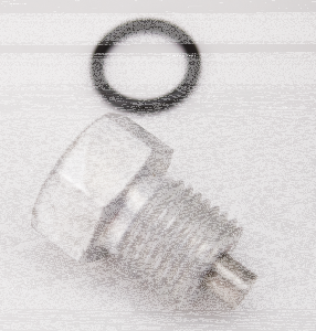 Drain plug with O-ring 1/4"-18 NPT (ES)