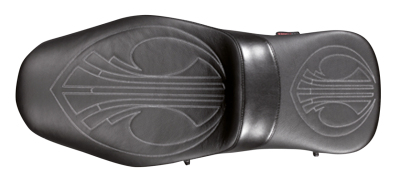 DG/Airhawk large DBR for 2UP seats