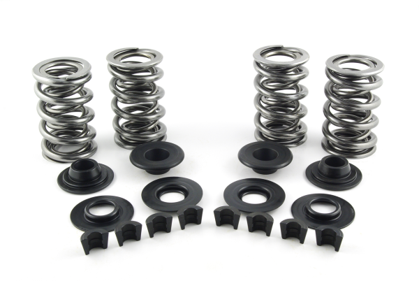 Valve Spring Kit 7mm .650" lift (ES)