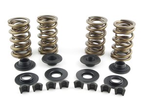 Valve Spring Kit TC.EVO.XL 1.08" 185@1.8 (ES)