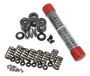 Valve Spring Kit TC.EVO.XL 1.08" 185@1.8 (ES)