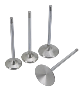 Valve EX Blank 35.4mm x 5" (ES)