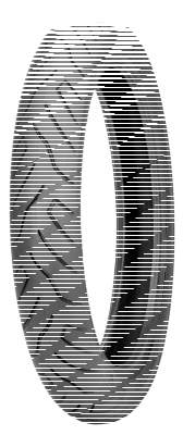 Shinko F999 100/90-19 61H FR TL (ES)