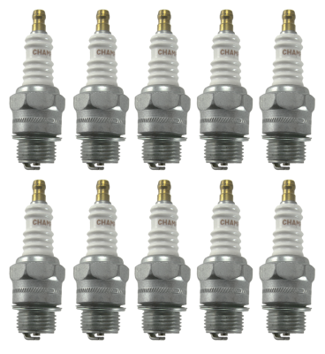 10Pcs Champion dealerpack D14 (ES)