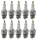 10Pcs Champion dealerpack D14 (ES)
