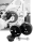 Jims Main 5-Speed main bearing remover (ES)