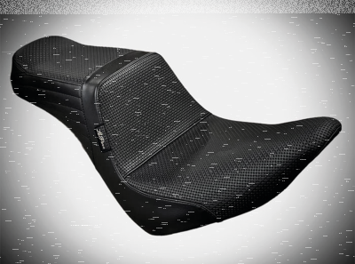 TailWhip Black BW FXLR18-Up (ES)