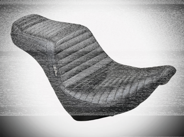 TailWhip Black PL FXLR18-Up (ES)