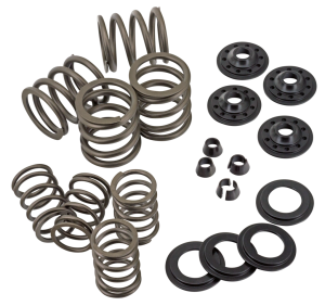 Complete Valve spring kit OHVBT36-47