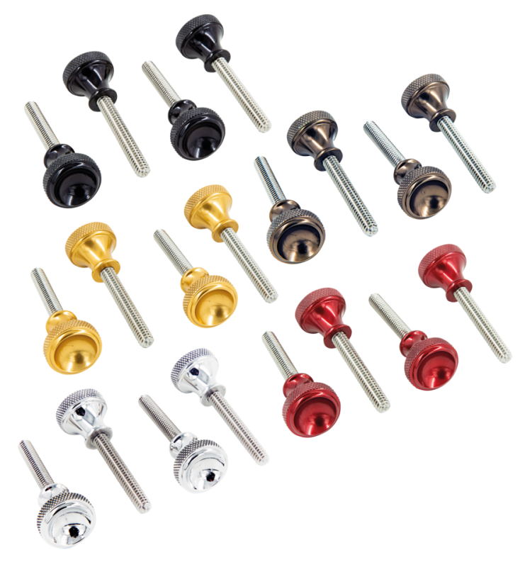 P16 SPORTSTER SIDE COVER SCREWS Blk (ES)