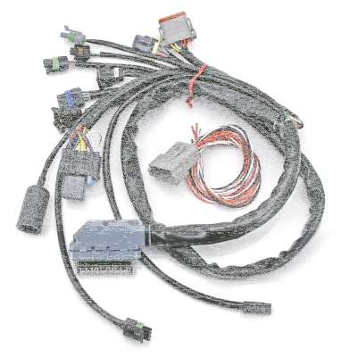 S&S Universal EFI/VFI wiring harness (ES)