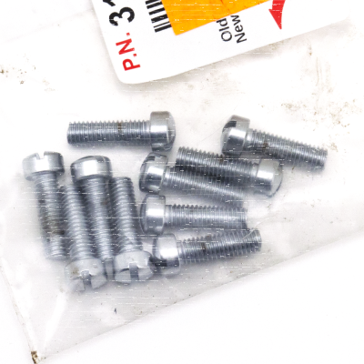 10pck Fillisterhead screw 10-32x5/8 chro (ES)