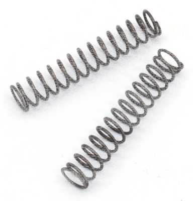 Pawl spring, set of 2 (ES)